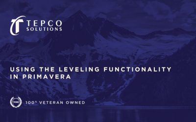 Using the Leveling Functionality in Primavera